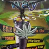 CAE019 / Cannabis