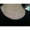 Rui 3