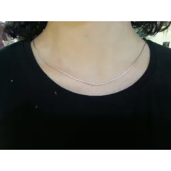 Rui 7