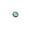 Bleu Turquoise / 018 - PT06