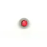 Rouge / 023 - PT06