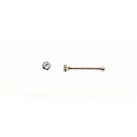 Transparent / 003 - PNZ