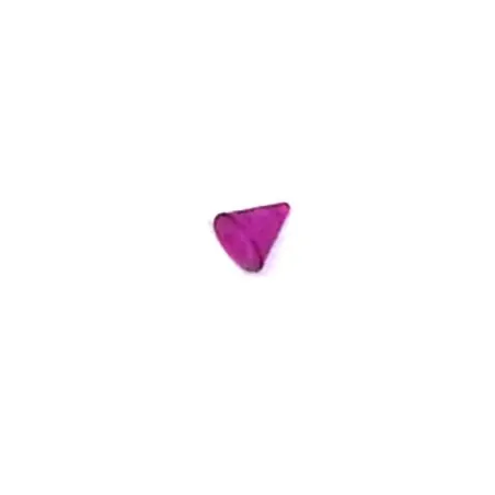Fushia / 054 - PT05