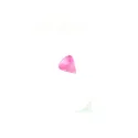 Rose Fluo / 059 - PT05