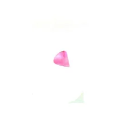 Rose Fluo / 059 - PT05