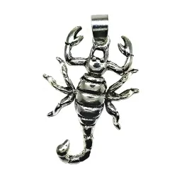 Scorpion / 048 - TH2