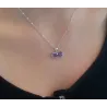 Rui 8