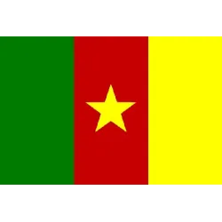 Drapeau du Cameroun à hyper bon prix balcon ,terrasse,etc . - bijouxbijoux.ch
