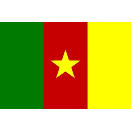 Drapeau du Cameroun à hyper bon prix balcon ,terrasse,etc . - bijouxbijoux.ch