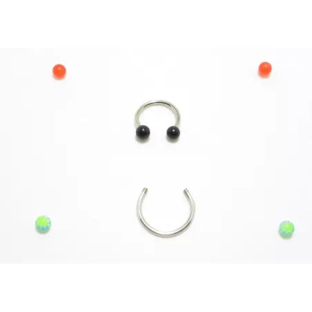 SP010