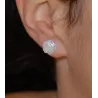 Mex 14
