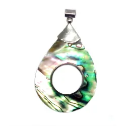 pendentif argent 925 et nacre abalone pour 69 francs .-bijouxbijoux.ch